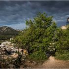 Les Alpilles  3