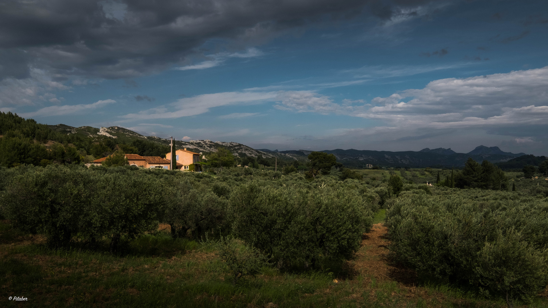 Les Alpilles 4