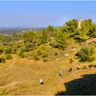 Les Alpilles (4)