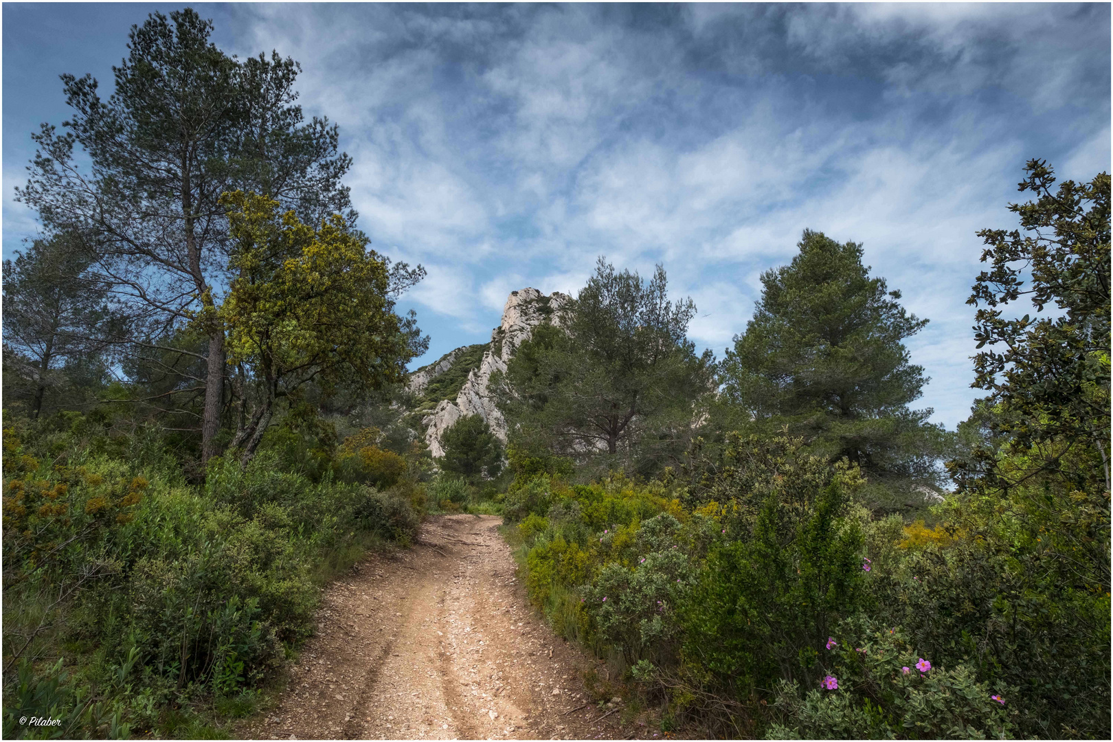 Les Alpilles 6