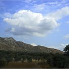 Les Alpilles