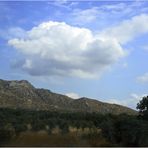 Les Alpilles