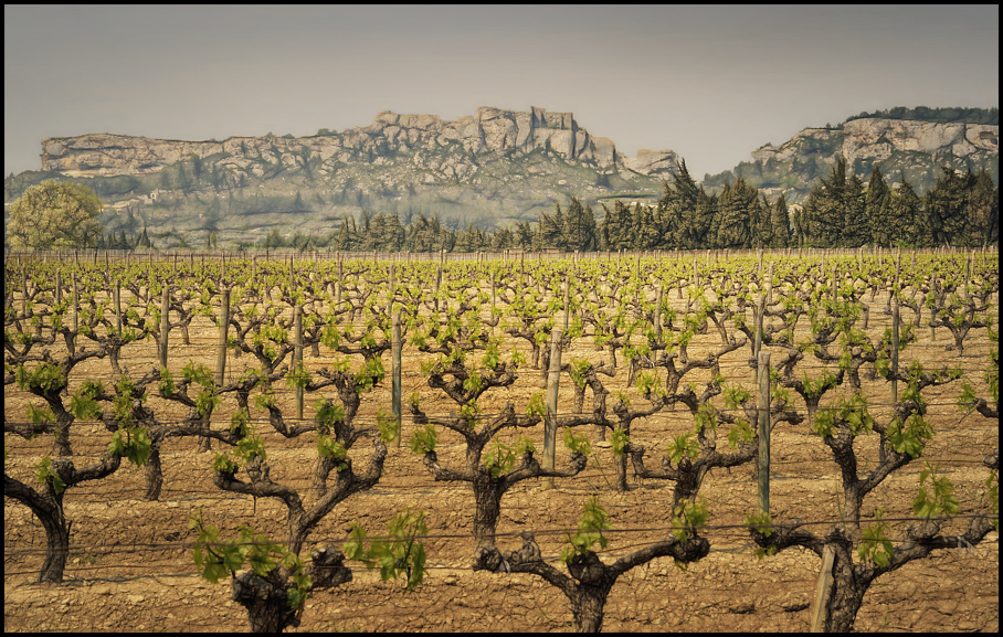 Les Alpilles