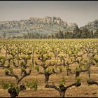 Les Alpilles