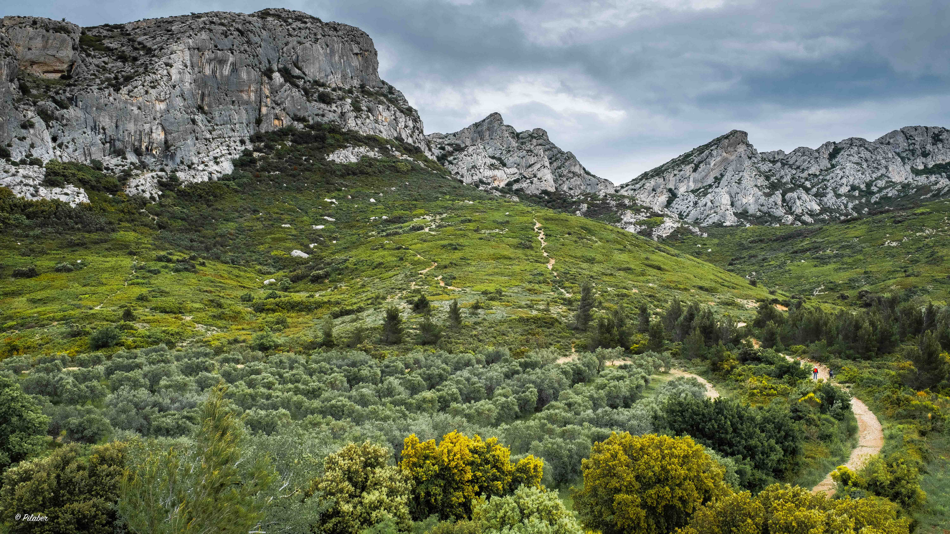 les Alpilles