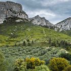 les Alpilles