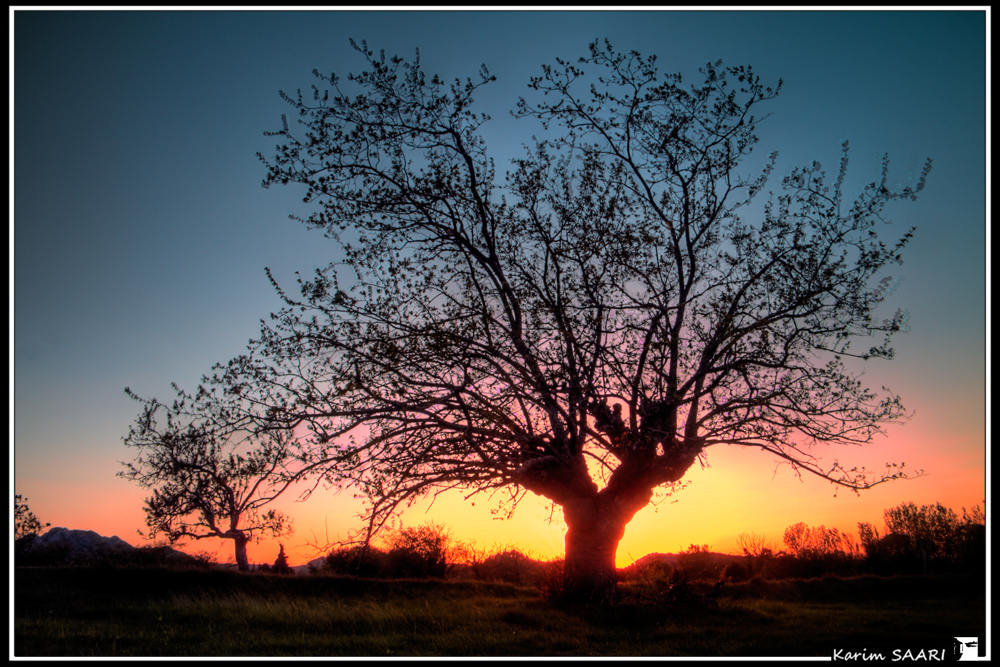 Les alpilles, plateau de la chapelle saint sixte