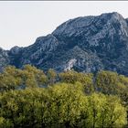 Les Alpilles prés de Saint Rémy de Provence