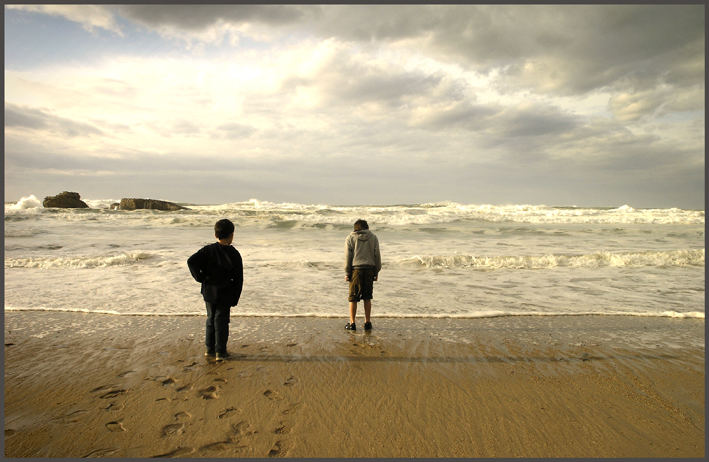 les amis de la mer