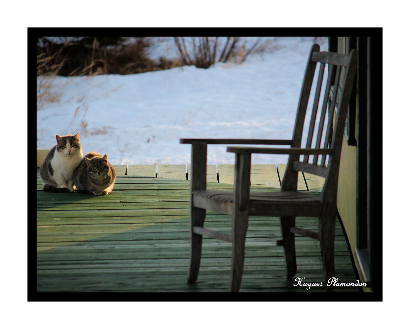 Les amoureux