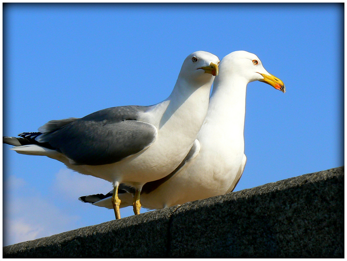 LES AMOUREUX .