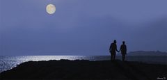 Les amoureux du clair de lune.