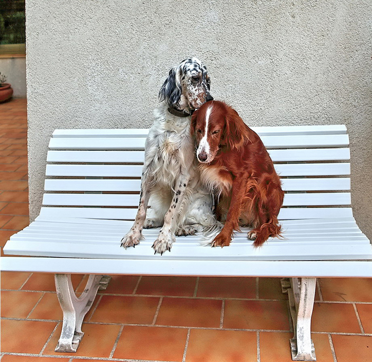 Les amoureux qui se bécotent ........