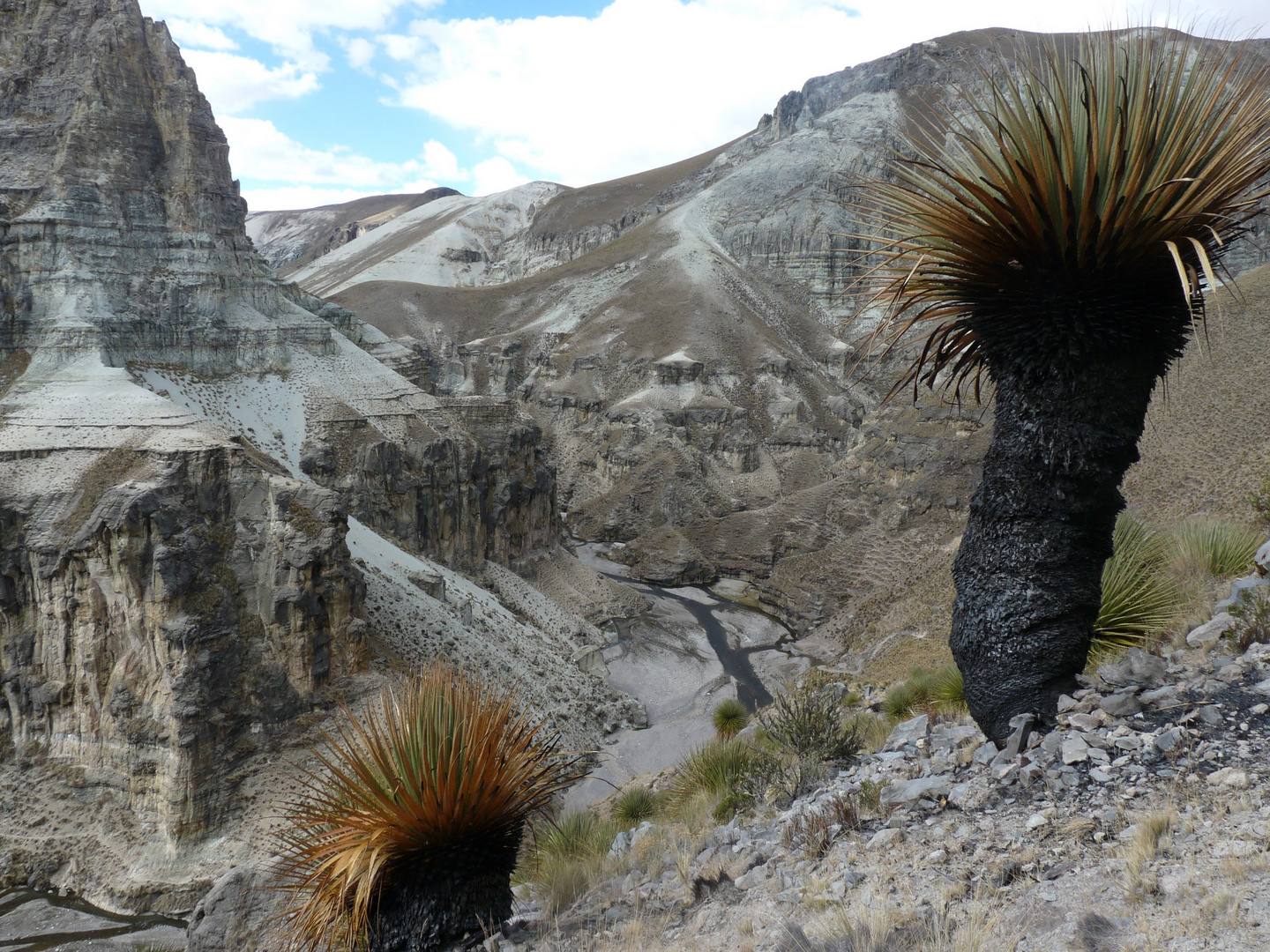 Les andes. Pérou