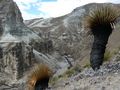 Les andes. Pérou de labrousse 