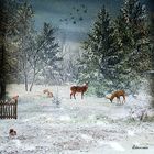 Les animaux en hiver 