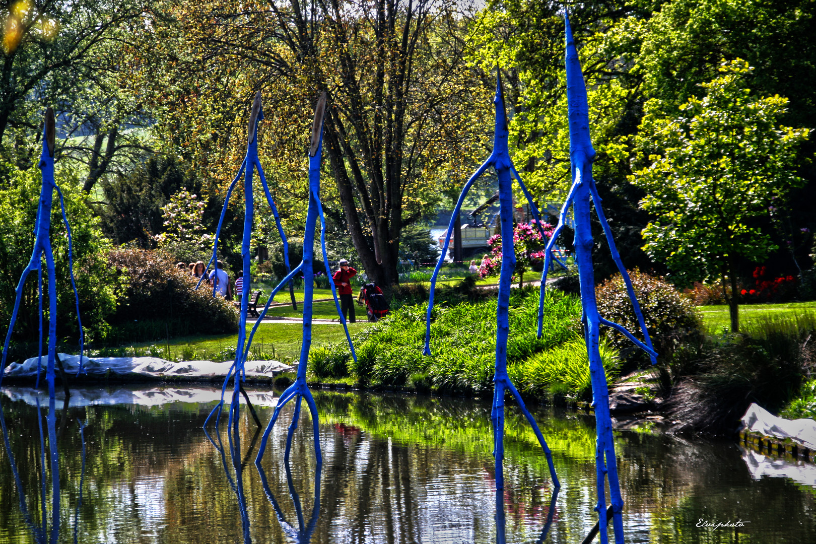 Les arbres bleus