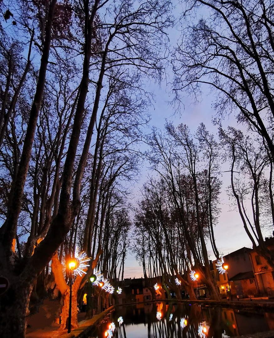 Les arbres dénudés