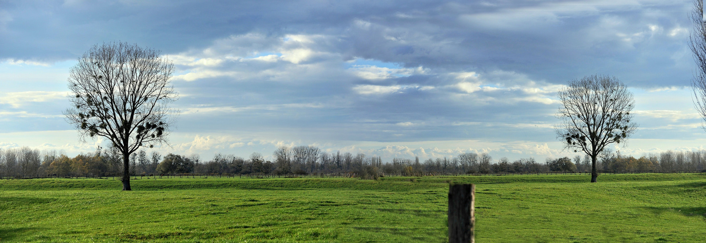 Les Arbres Jumeaux