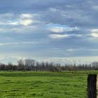 Les Arbres Jumeaux