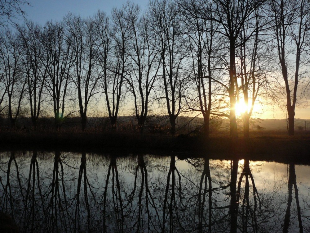 les arbres, le canal et le soleil