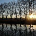 les arbres, le canal et le soleil