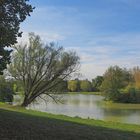 Les arbres ont du mal à prendre leurs couleurs d’automne