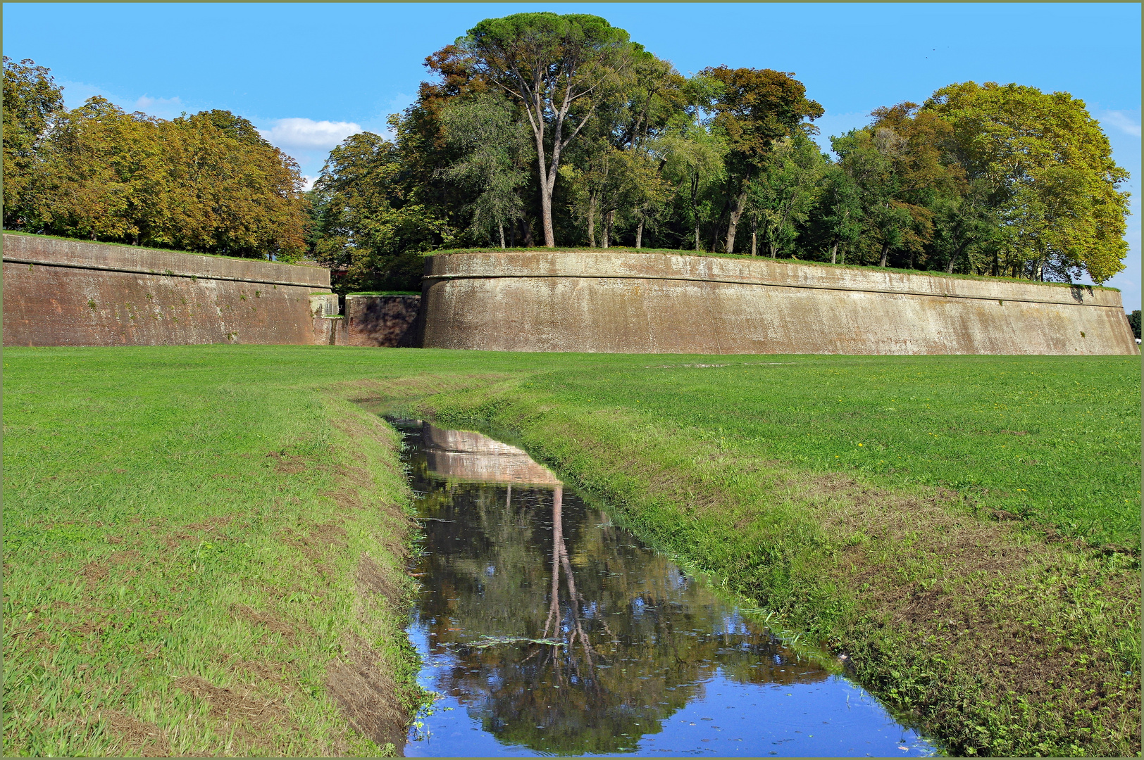 les arbres sur  les remparts   de lucques....