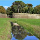 les arbres sur  les remparts   de lucques....