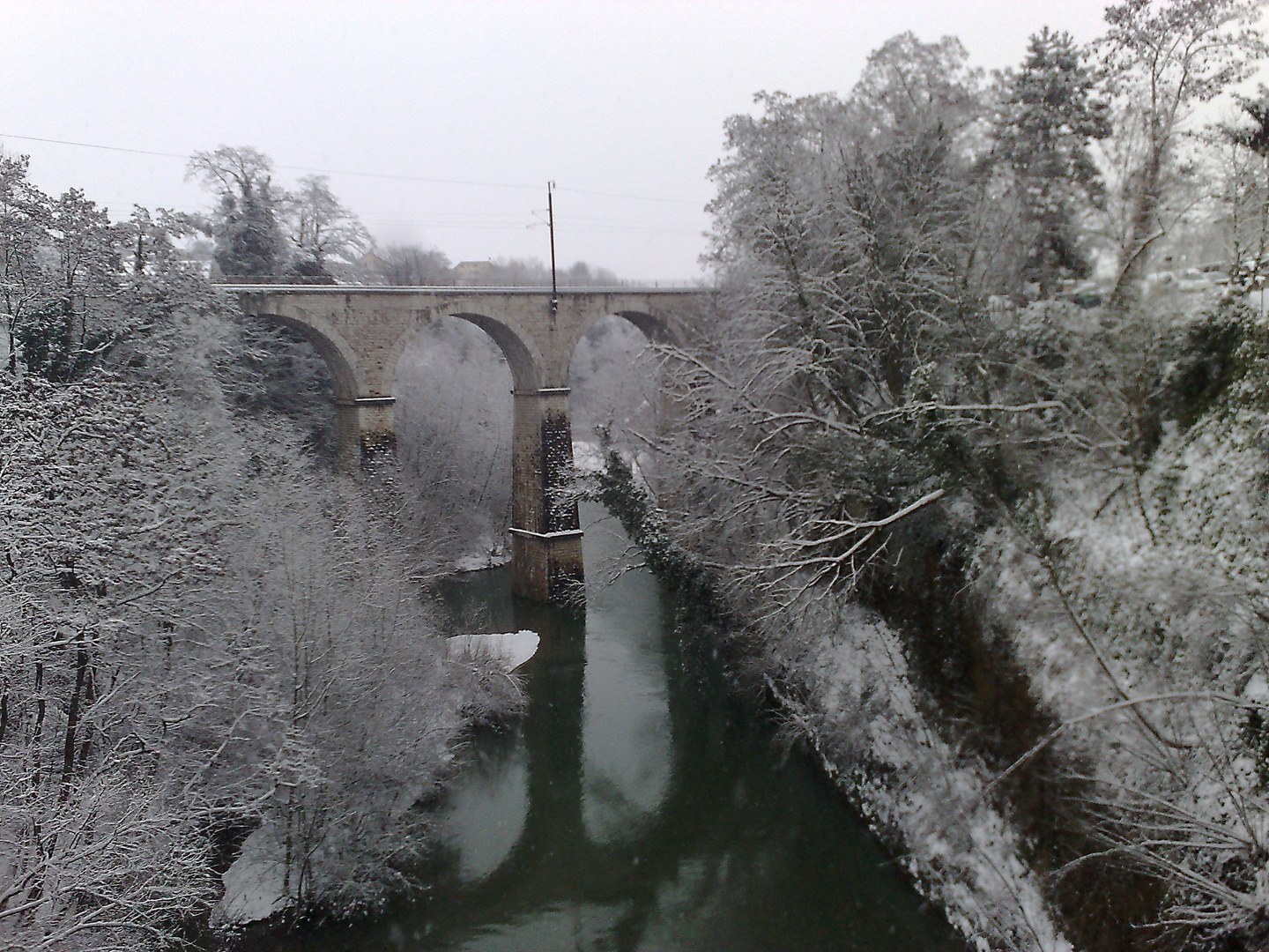 Les arbres vetus de blanc...