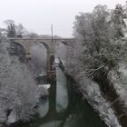 Les arbres vetus de blanc...