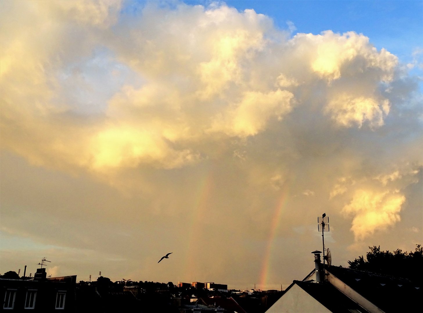 Les arcs en ciel hier , le tonnerre aujourd'hui