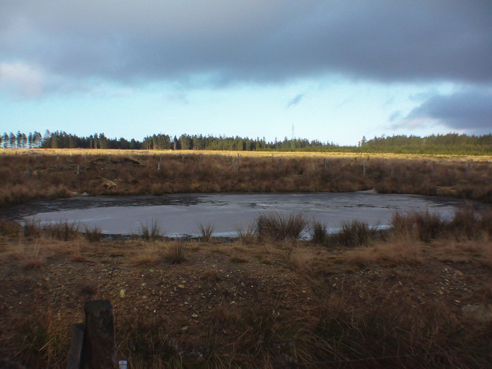 les ardennes belge