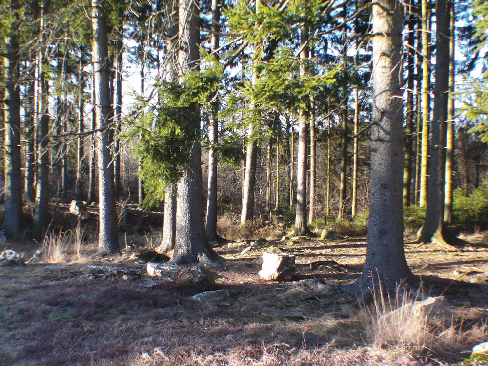 les ardennes dans ses splendeurs