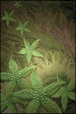 LES ASTERIES DU CROISIC ORIGINAL JPEG