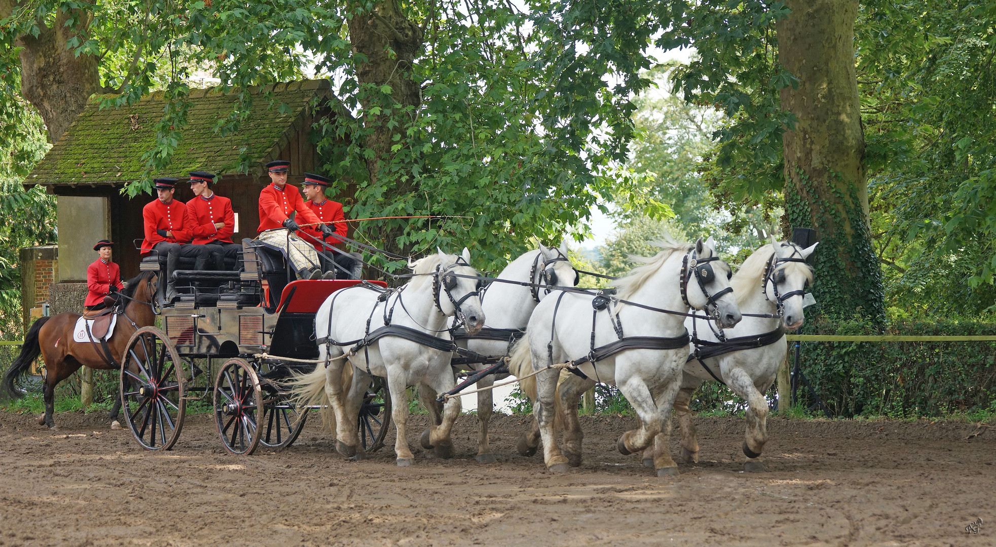 Les attelages du Haras du Pin 02