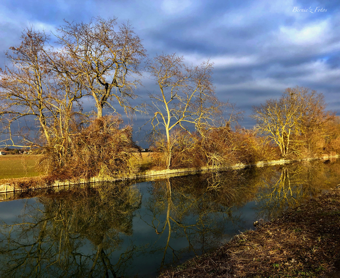 Les autres couleurs de l'hiver