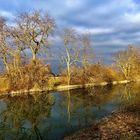 Les autres couleurs de l'hiver