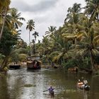 Les backwaters près d'Aleppi