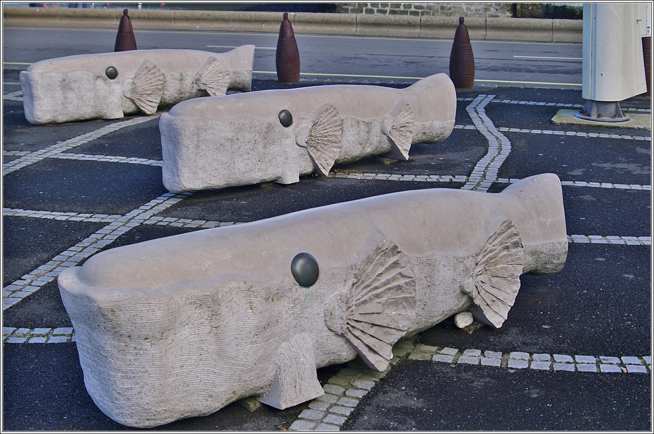 Les baleines a Port en Bessin