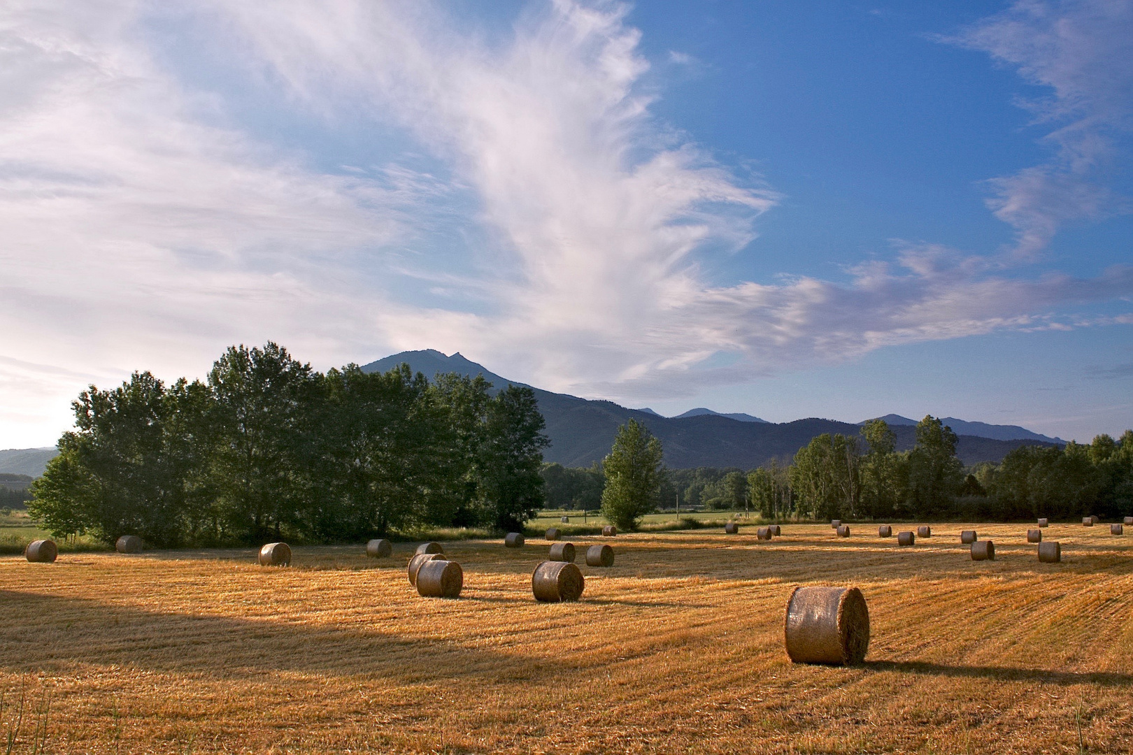 Les balles de paille