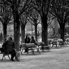 Les bancs .