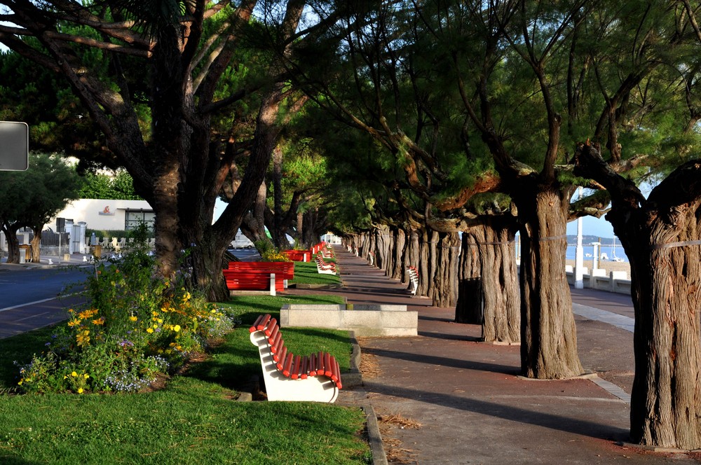 Les bancs d'Arcachon le matin à 7 heures