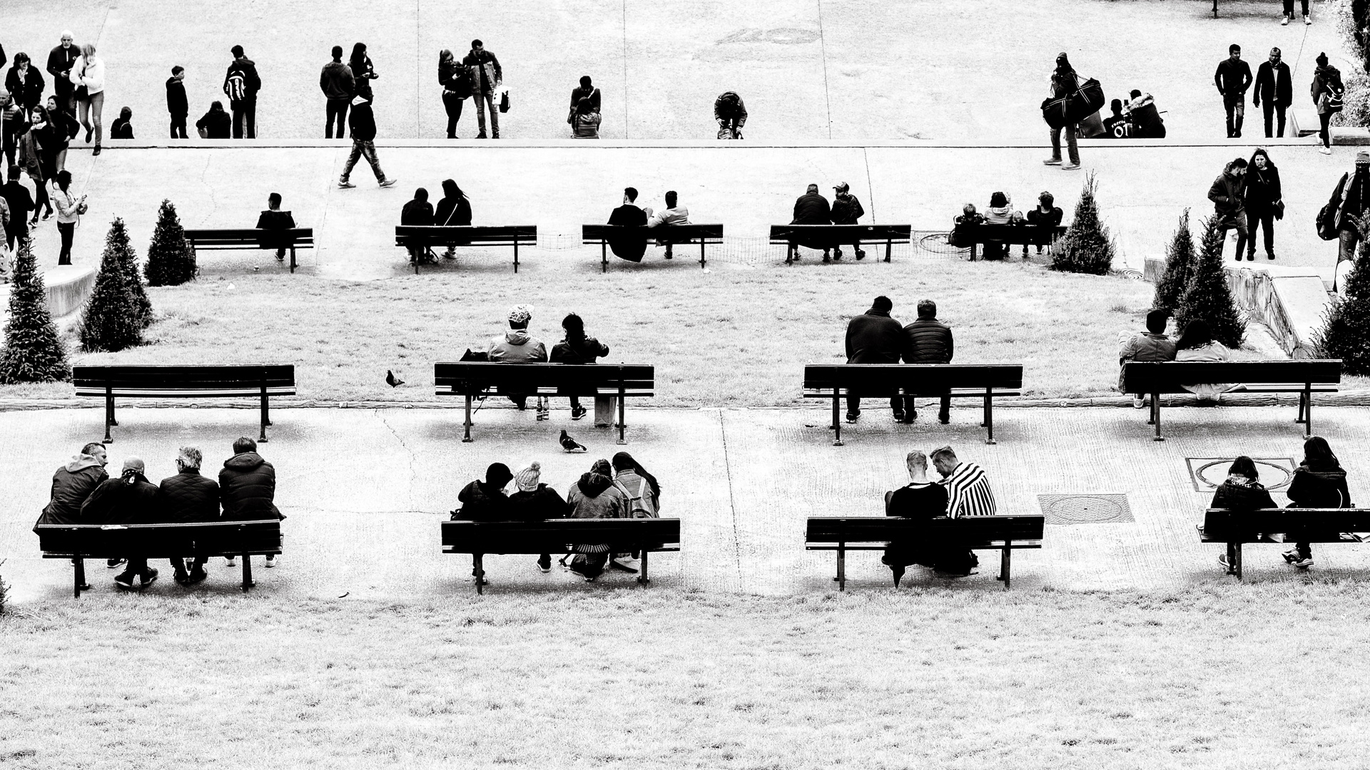 Les bancs de la société