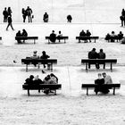 Les bancs de la société