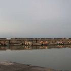 les barges à huitres prêtes à partir.........