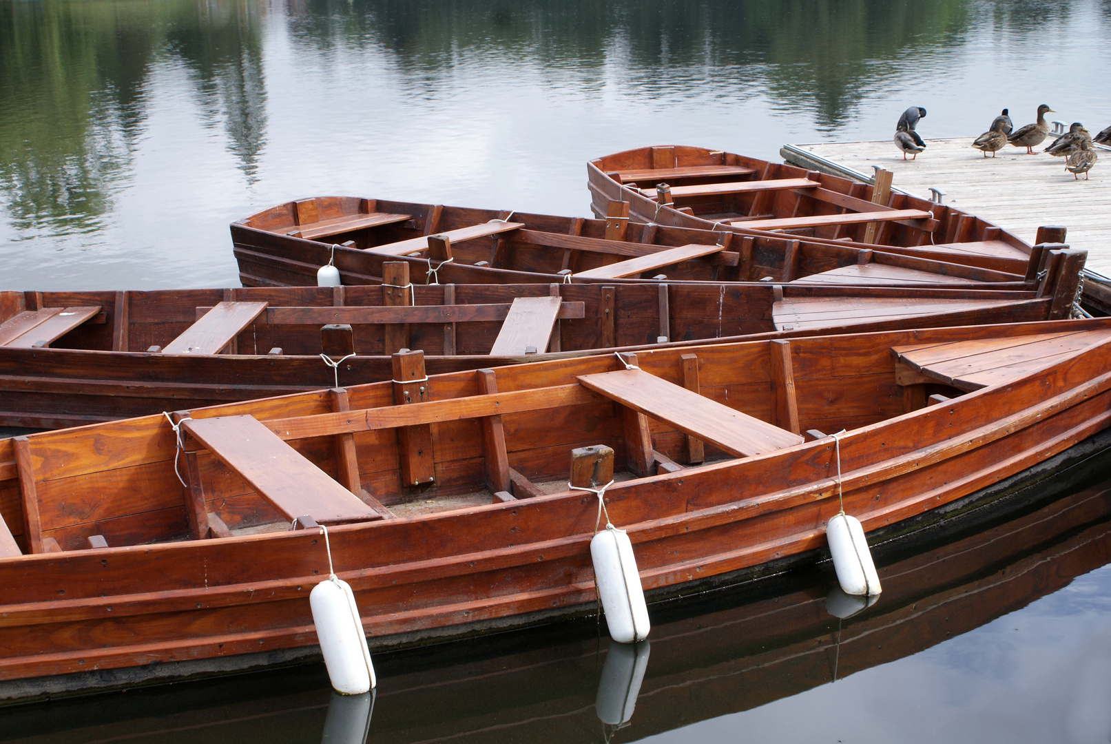 LES BARQUES AU QUESNOY 