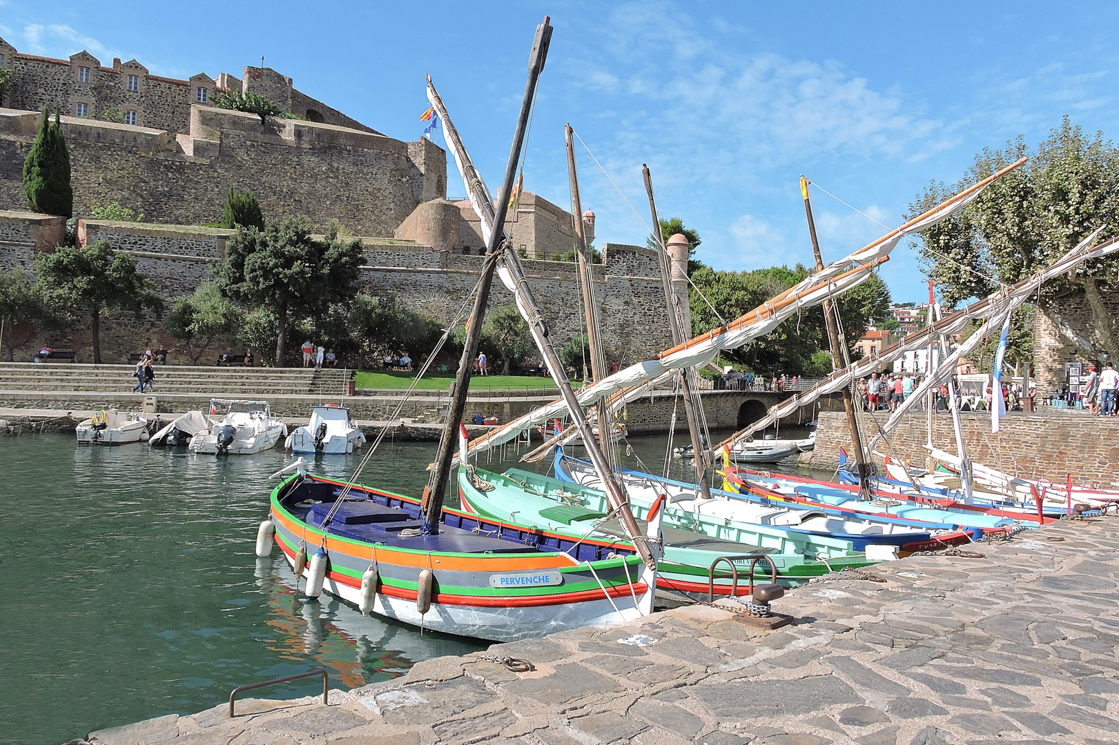 Les barques catalanes à Collioure