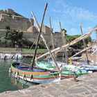 Les barques catalanes à Collioure