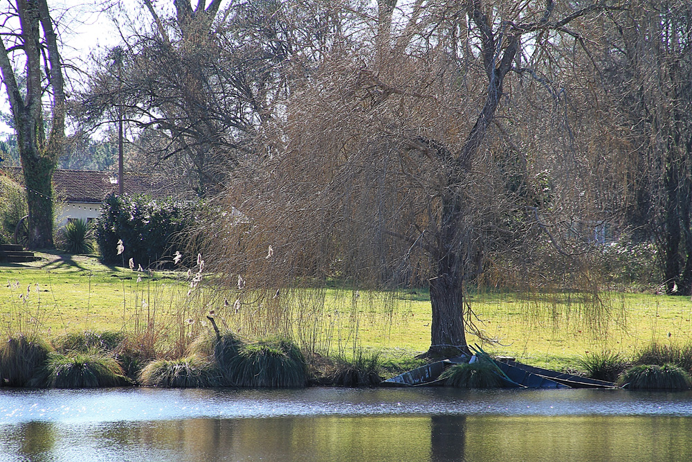 les barques coulées !